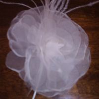 got the stuff to make a hairpiece but how do i do it!!crafty HIBs please help!