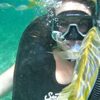 Re: Help! How to flash.