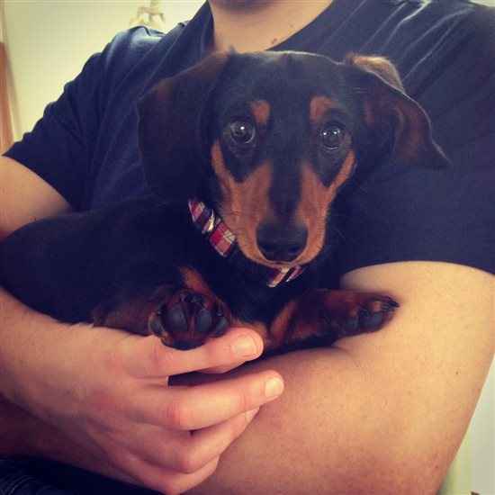 Re: Show me your pets