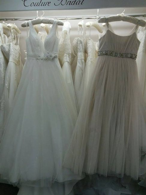 Bridesmaid Dress Blunder  Do you have any ideas?????