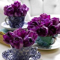 Re: It's in the detail......what are yours?