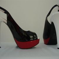 Re: Flash attempt...a big one!