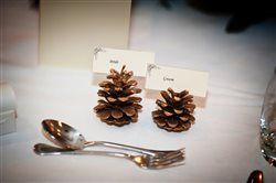 Re: Wanted!  Christmas/winter wedding ideas!