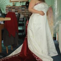 Recieved THE dress!!!! *FLASH*