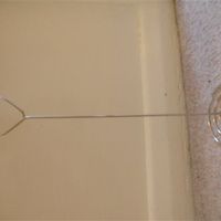 Re: Wedding bits for sale peacock/turquoise theme