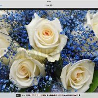 Re: blue flowers on August