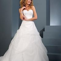 Re: Flash Me Your Shrugs