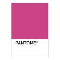 Fuschia Pantone for the Dessy Group needed.
