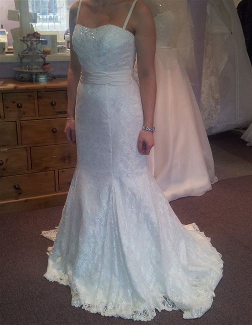 Got My Dress!! *UPDATED with FLASH of me in dress!*
