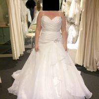 56 days to go ... FLASH