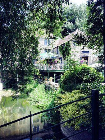 1 month to go...flash!