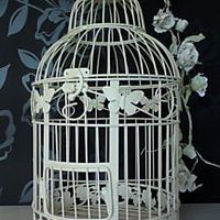 Our Plans..........With Pictures!