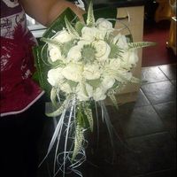 Our Plans..........With Pictures!