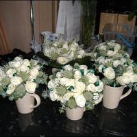 Our Plans..........With Pictures!