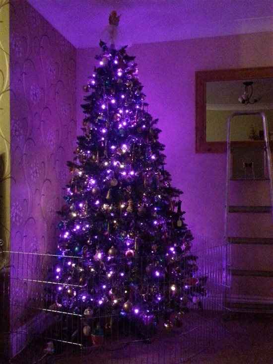 ITS CHRISSSSSSSSSSSTMAS!! *Flash your festivities*