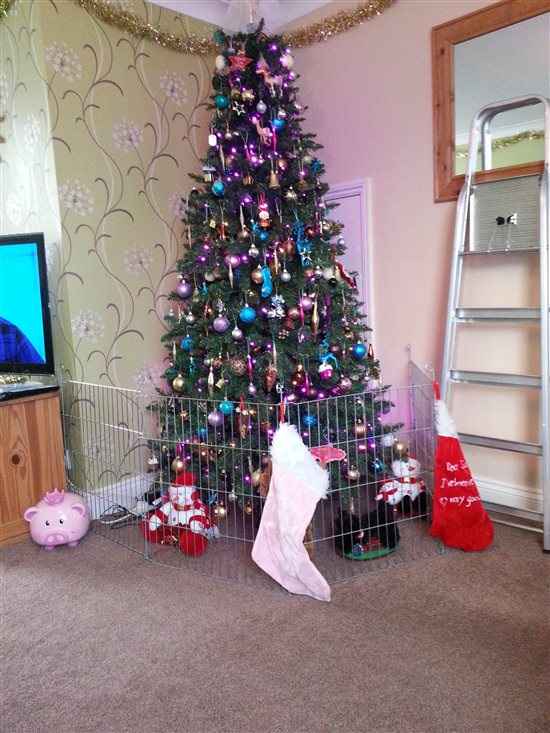 ITS CHRISSSSSSSSSSSTMAS!! *Flash your festivities*