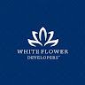 whiteflowerdevelopers
