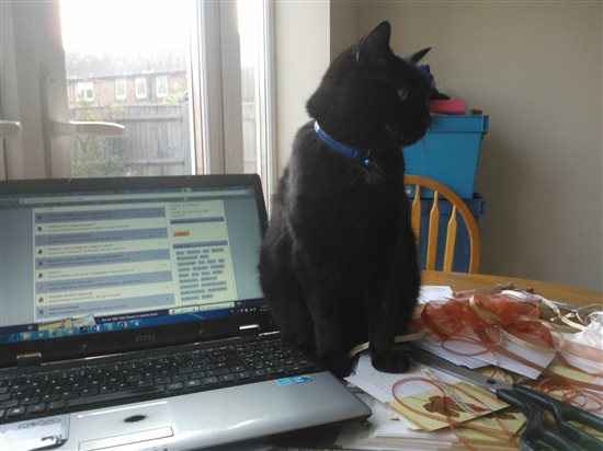 Re: Show me your pets