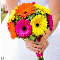 Re: I need help!  Flowers....