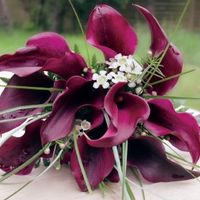 Re: FAO Kittykat9 - In ere!!!