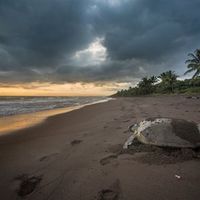 Honeymoon in Costa Rica