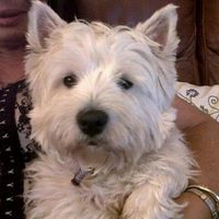 Re: The post a picture of your pet thread!