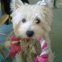 Re: The post a picture of your pet thread!