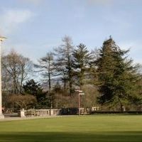 Re: Happy Happy Happy