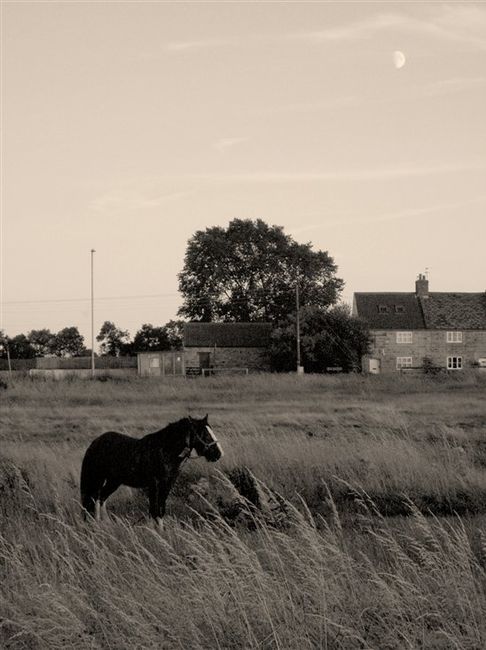 Re: RERe: Your favourite favourite picture/photograph