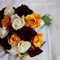 Re: October Flower Help / Advise Please