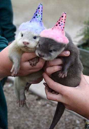 Re: Cake all round!!