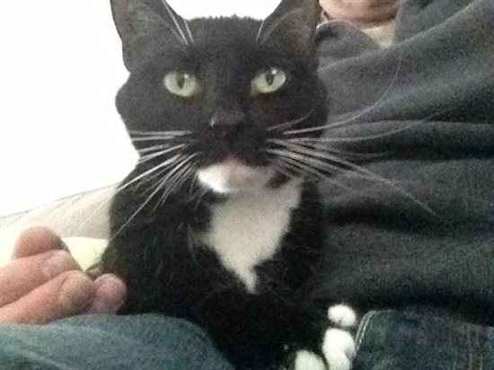 Re: Show me your pets
