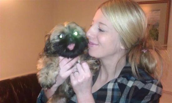Re: Pet flashes?