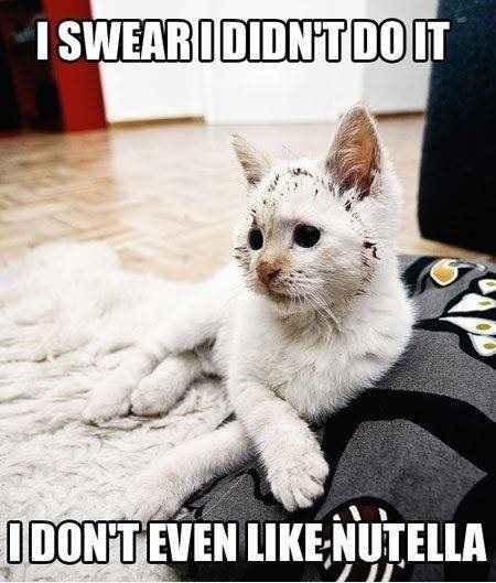 FAO Nutella!