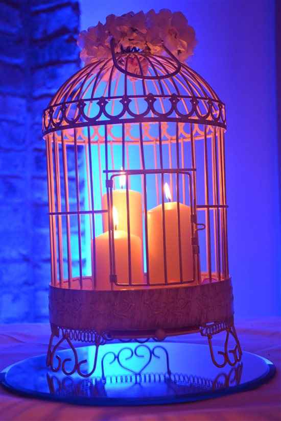 Bird Cages for Sale!