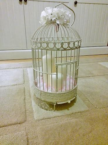 Bird Cages for Sale!