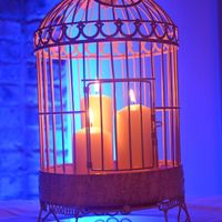 Bird Cages for Sale!