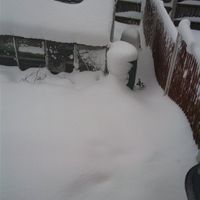 Re: Shall we have a snow flash.....