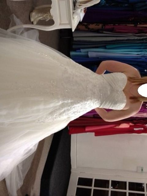 Re: I finally chose my dress!! *Flash*
