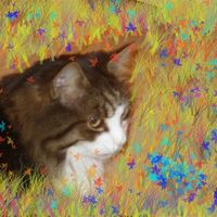 Re: Whats your wallpaper*flash*