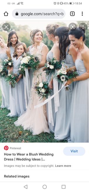 Blush wedding dress - what colour bridesmaid dresses? - 1