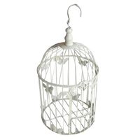 Re: Flash your centrepieces (just for fun!)