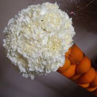 One for the Sunday night picture vultures!!