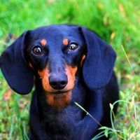 Re: Your favourite favourite picture/photograph