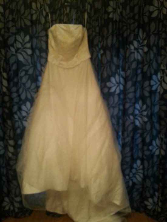 Size 14 wedding dress with PIC