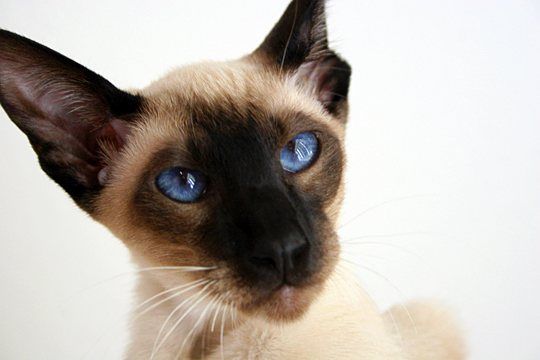 Re: An introduction from a newbe supplier on Hitched