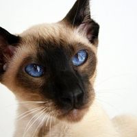 Re: An introduction from a newbe supplier on Hitched