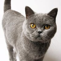 Re: An introduction from a newbe supplier on Hitched