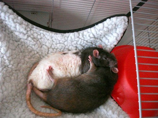 Re: Bad day? Share some love...