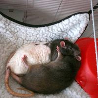 Re: Bad day? Share some love...